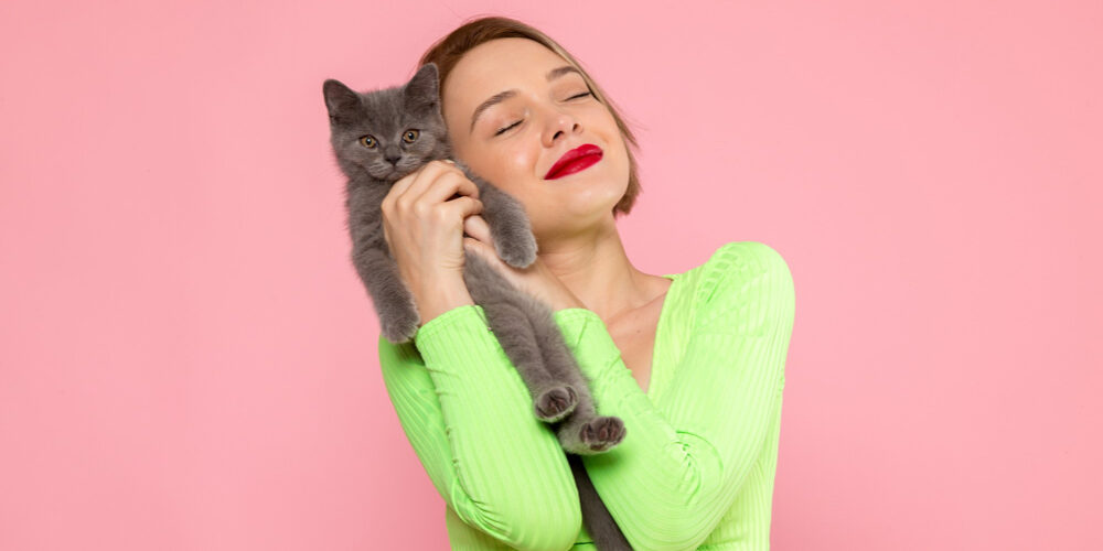 Gatos marketing topping